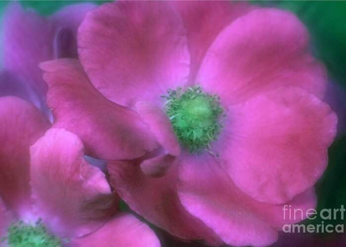 Flower Photos For Sale Greeting Card featuring the photograph Deepest Sympathy by Mary Lou Chmura