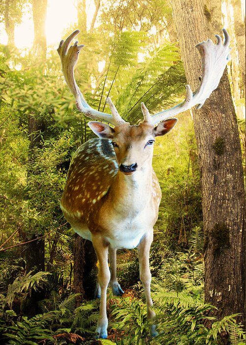 Deer Greeting Card featuring the photograph Deer Ferns by Glen Johnson
