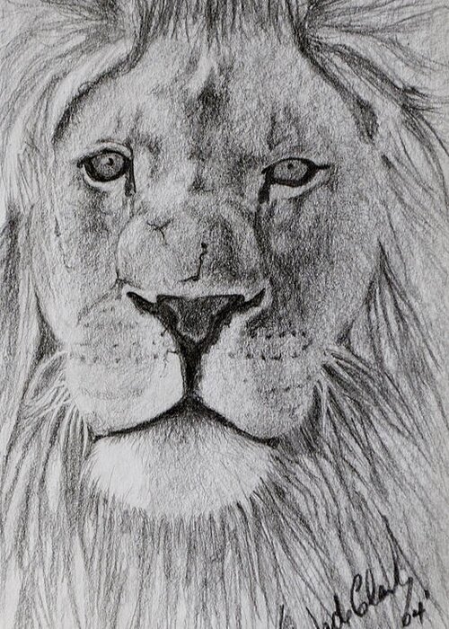 Lions Greeting Card featuring the drawing Defiance by Wade Clark