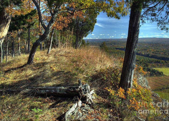 Landscape Greeting Card featuring the photograph Delaware Water Gap View by Nicki McManus