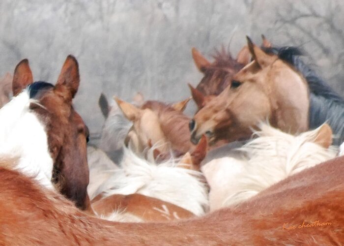 Horses Greeting Card featuring the photograph Delicate Illusion by Kae Cheatham