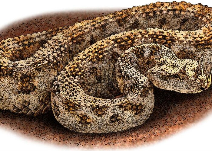 Download Desert Horned Viper Greeting Card for Sale by Roger Hall