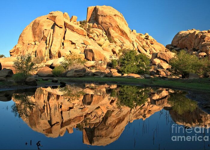 Barker Dam Greeting Card featuring the photograph Desert Oasis Reflections by Adam Jewell