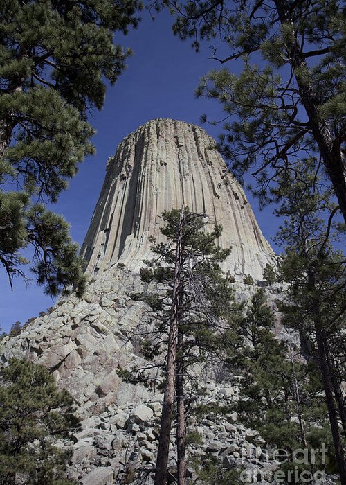 Devil's Tower Greeting Card featuring the photograph Devils Tower by Jim West