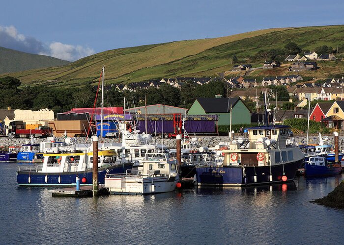Dingle Greeting Card featuring the photograph Dingle Harbour County Kerry Ireland by Aidan Moran