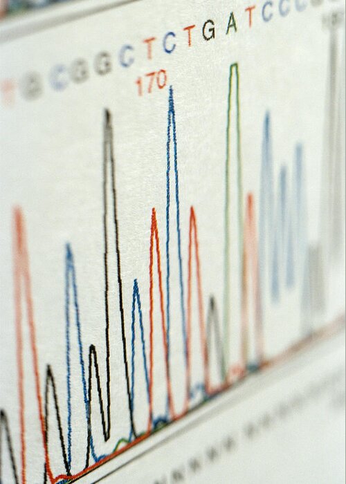 Base Greeting Card featuring the photograph Dna Sequence Chromatograms by Mark Harmel