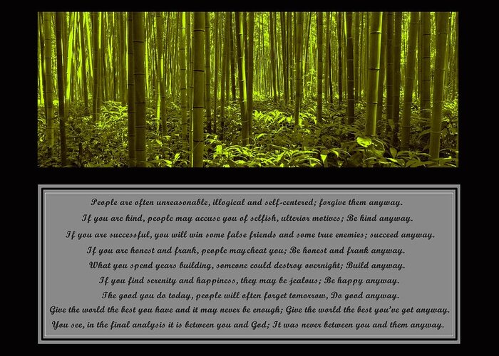 Mother Teresa Greeting Card featuring the photograph Do It Anyway Bamboo Forest by David Dehner