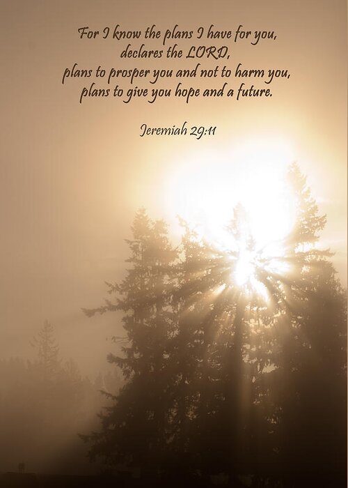 Jeremiah 29:11 Greeting Card featuring the photograph Do Not Be Afraid by Jani Freimann