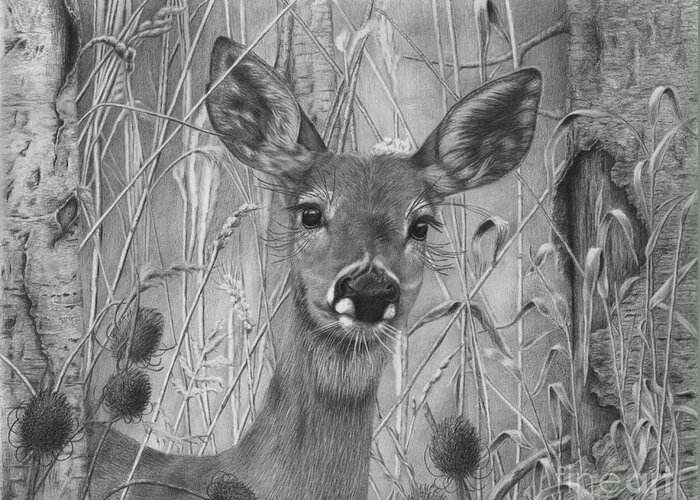 Deer Greeting Card featuring the drawing Doe Pretty by Barby Schacher