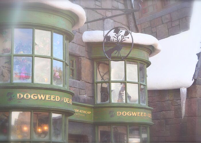 Hogwarts Greeting Card featuring the photograph Dogweed Dream by Shelley Overton