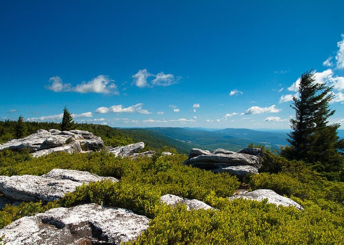 Dolly Sods Greeting Card featuring the photograph Dolly Sods by Shane Holsclaw