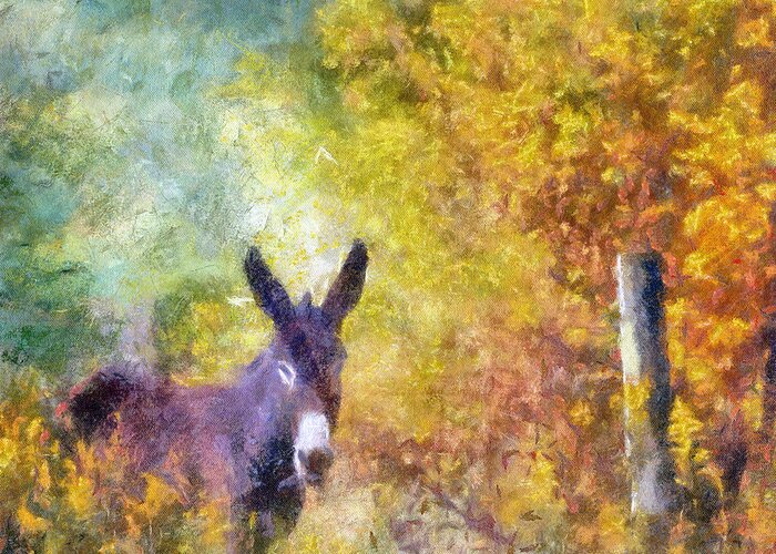 Donkey Greeting Card featuring the photograph Donkey At The Fence by Kerri Farley