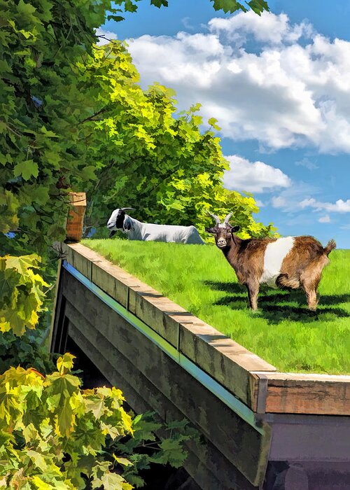 Door County Greeting Card featuring the painting Door County Al Johnsons Swedish Restaurant Goats by Christopher Arndt