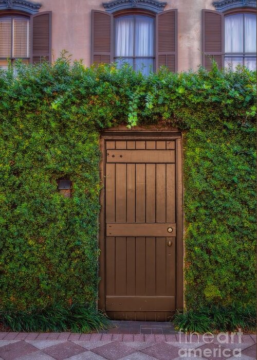 Savannah Greeting Card featuring the photograph Door in the Hedge Savannah by Henry Kowalski