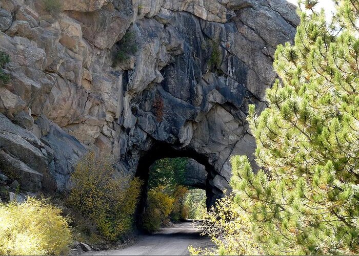 Colorado Greeting Card featuring the photograph Double Tunnel - Eleven Mile Canyon by Marilyn Burton
