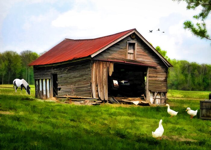 Barn. Vintage Barn. Dilapidated Barn. Field. Trees. Woods. Forest. Nature. Landscape. Country Landscape. Horse. Ducks. Birds. Geese. Mallard. Wildlife. Grasses. Photography. Print. Canvas. Texture. Painting. Poster. Greeting Card. Digital Art. Greeting Card featuring the photograph Down on the Farm by Mary Timman
