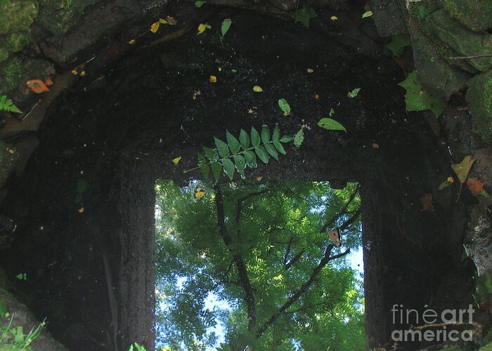 Well Greeting Card featuring the photograph Down the well by Fred Sheridan