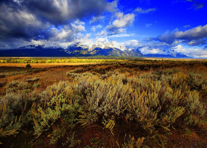 Landscape Greeting Card featuring the photograph Dramatic Jackson and Salt Lake by Richard Wiggins