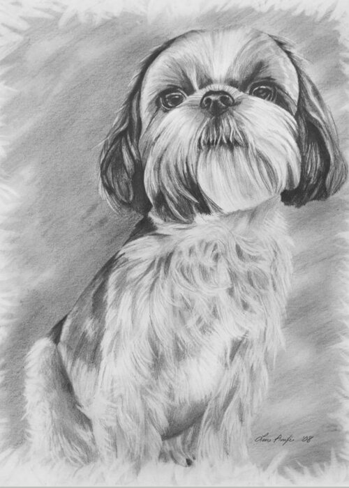 Graphite Greeting Card featuring the drawing Drawing of a Shih Tzu by Lena Auxier