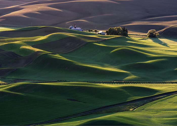 Palouse Greeting Card featuring the photograph Dream Land #3 by ??? / Austin