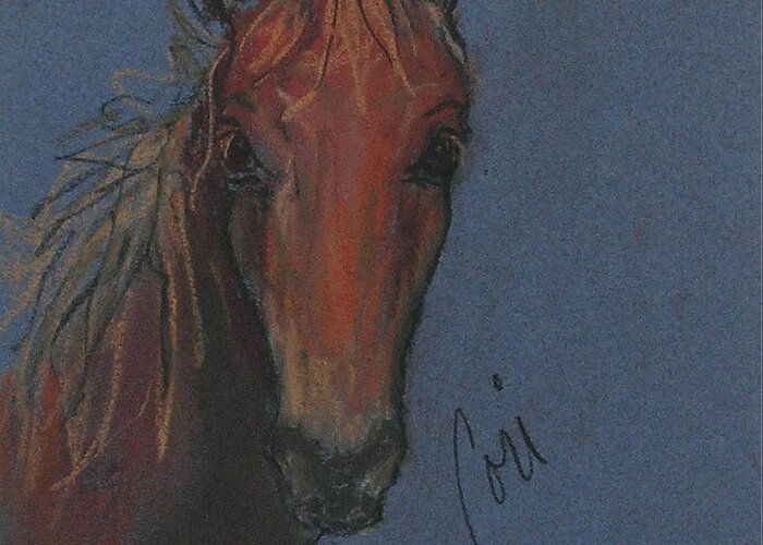 Horse Greeting Card featuring the drawing Dream Watcher by Cori Solomon