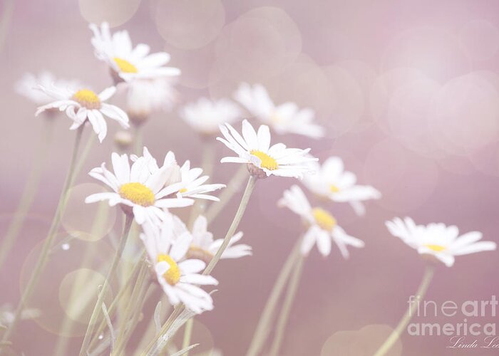 Daisy Greeting Card featuring the photograph Dreamy Daisies by Linda Lees