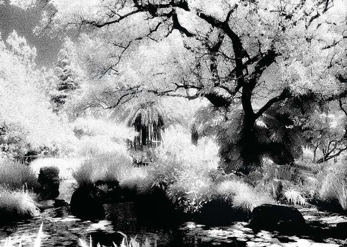 Infrared Greeting Card featuring the photograph Dreamy Gardens - 1007 by Paul W Faust - Impressions of Light