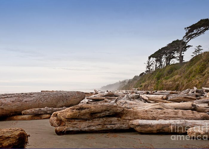 Beach Greeting Card featuring the photograph Drift Logs Tossed Like Pick-Up Sticks Upon Pacific Coast Beach by Jo Ann Tomaselli