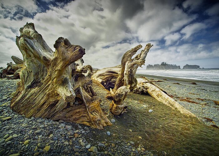 Art Greeting Card featuring the photograph Driftwood on Rialto Beach by Randall Nyhof