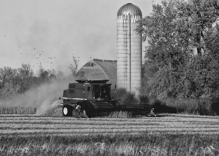 Combine Greeting Card featuring the photograph Dry Harvest by Dan Hefle