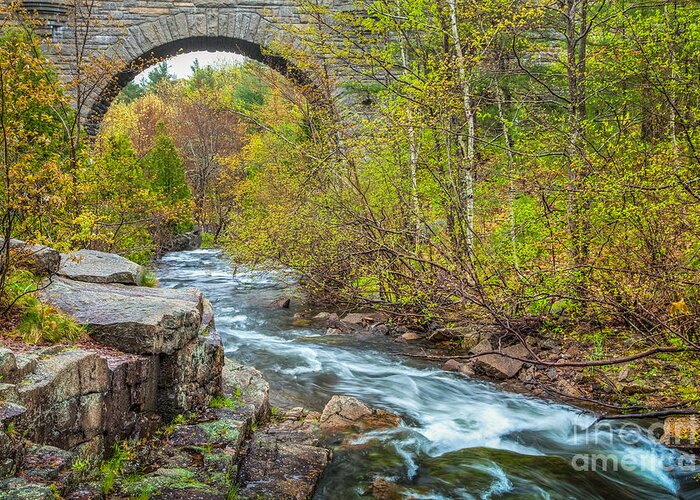 Acadia National Park Greeting Card featuring the photograph Duck Brook Bridge in Acadia by Susan Cole Kelly