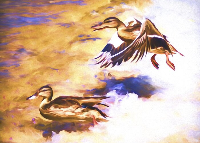 Mallard Greeting Card featuring the mixed media Ducks Landing by Priya Ghose