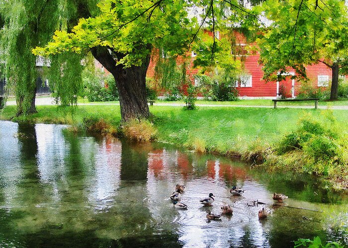 Ducks Greeting Card featuring the photograph Ducks on Pond by Susan Savad