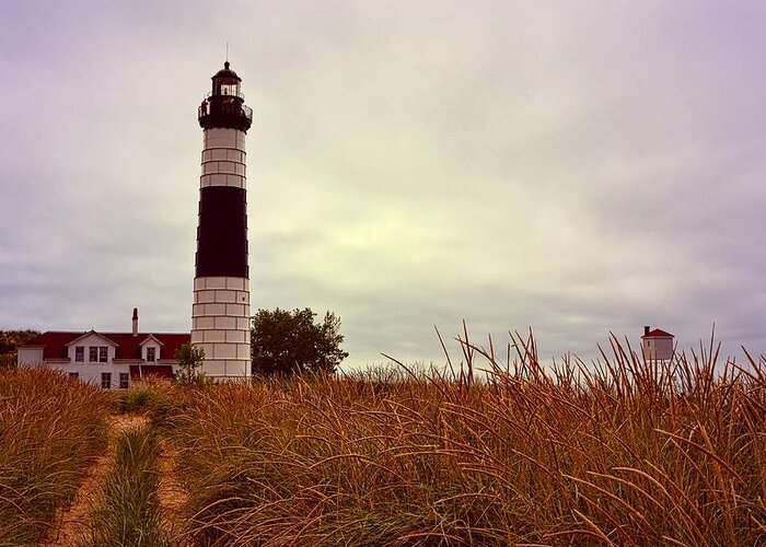 Lighthouse Greeting Card featuring the photograph Dune Grass and Big Sable by Michelle Calkins