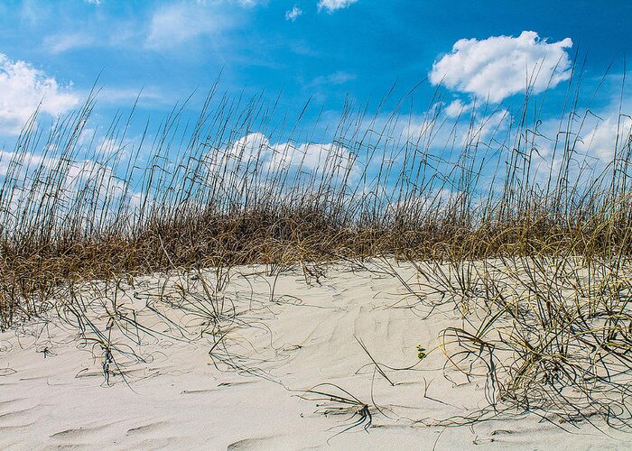 Mbsp Greeting Card featuring the photograph Dunes by Jessica Brown