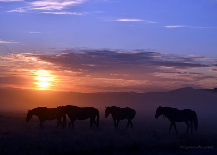 Wild Mustang Horse Stallion Sunset Dust Utah Sky Greeting Card featuring the photograph Dusty Dusk Mustangs by Dirk Johnson