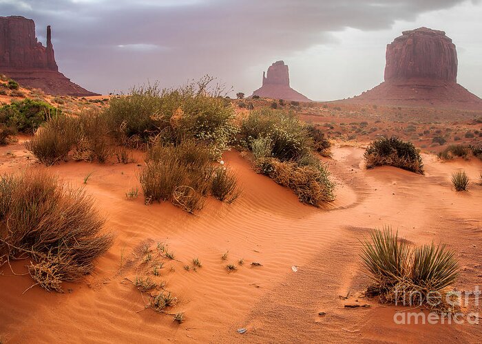 Utah Greeting Card featuring the photograph Dusty Trails by Jim Garrison