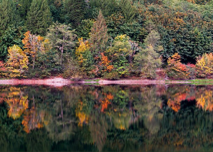 Acer Greeting Card featuring the photograph Early Fall Colour at Silver Lake by Michael Russell