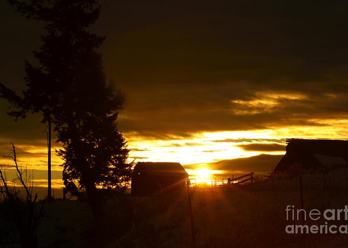Sunrise Greeting Card featuring the photograph Early Morning by Loni Collins