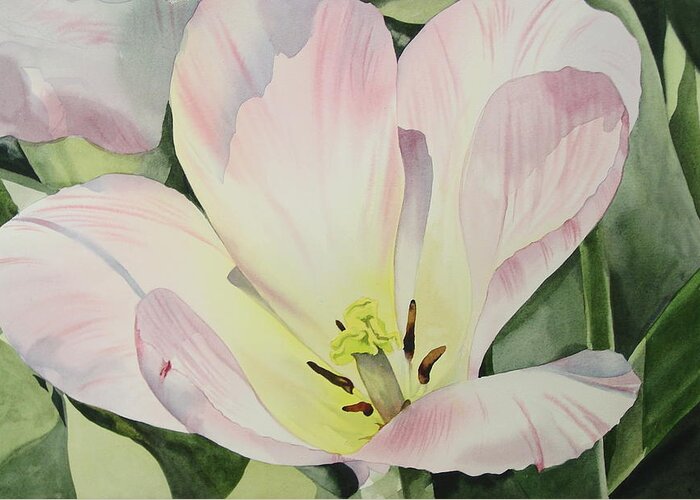 Watercolor Greeting Card featuring the painting Early Spring Tulip by Marlene Gremillion