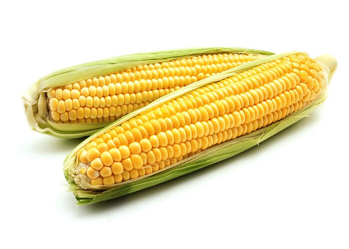 White Background Greeting Card featuring the photograph Ears of maize by Fabrizio Troiani