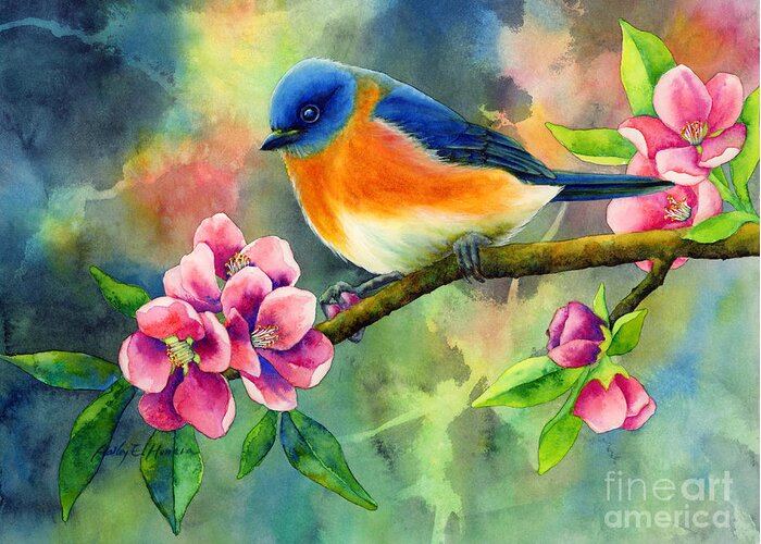 Bird Greeting Card featuring the painting Eastern Bluebird by Hailey E Herrera