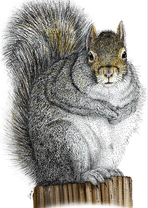 Illustration Greeting Card featuring the photograph Eastern Gray Squirrel by Roger Hall