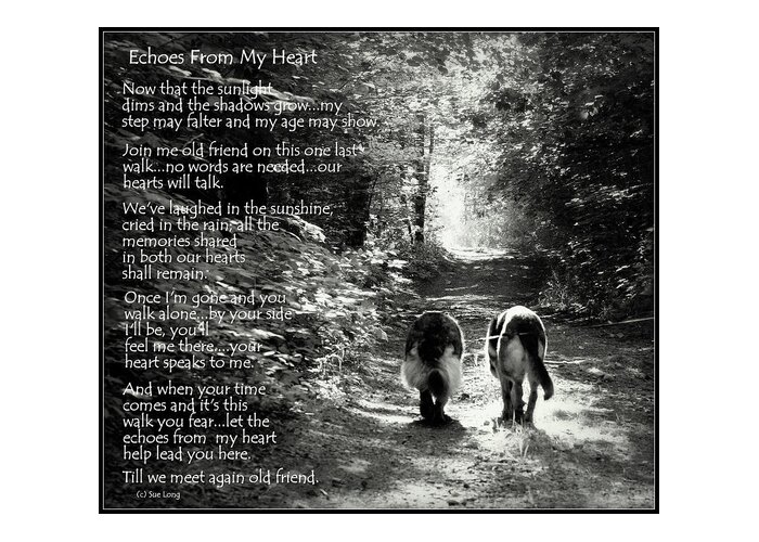 Animal Rescue Greeting Card featuring the photograph Echos from my Heart by Sue Long