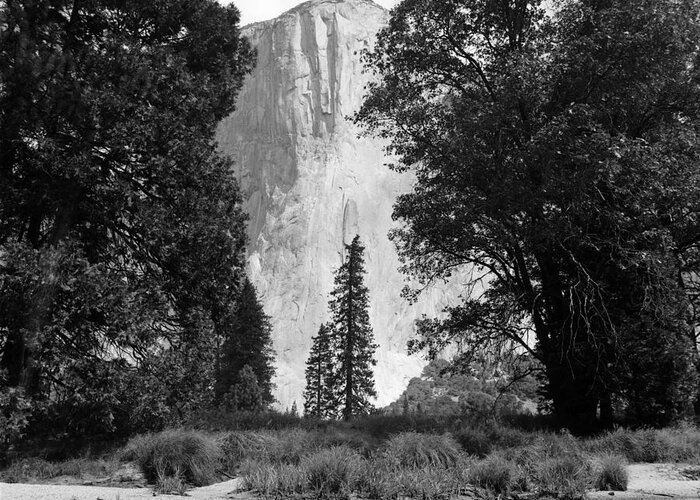 El Capitan Greeting Card featuring the photograph El Capitan Yosemite by Riccardo Mottola
