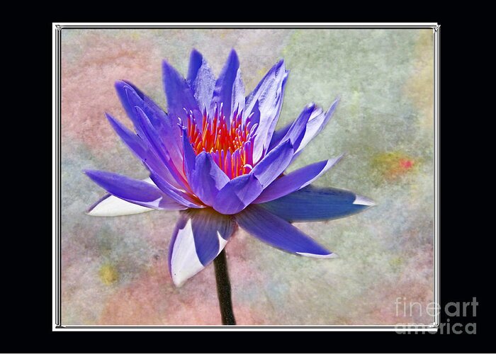 Lotus Birthday Card Greeting Card featuring the photograph Elegance and Grace Card by Dawn Gari