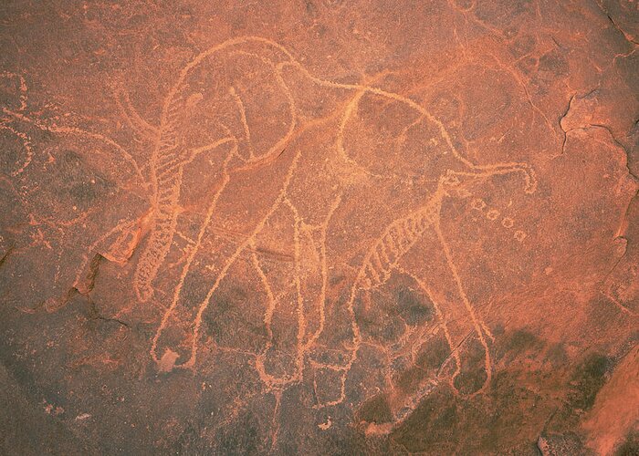 Carving Greeting Card featuring the photograph Elephant Petroglyph by David Parker/science Photo Library