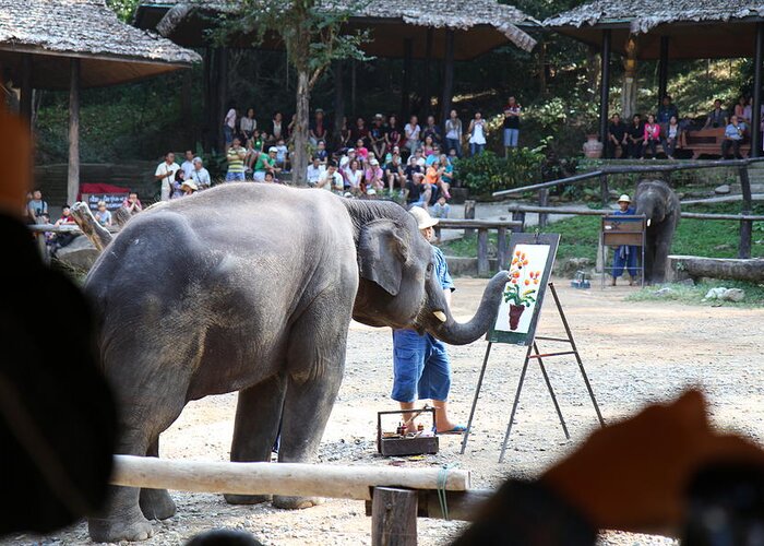 Chiang Greeting Card featuring the photograph Elephant Show - Maesa Elephant Camp - Chiang Mai Thailand - 011347 by DC Photographer
