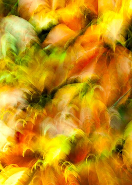 Leaves Greeting Card featuring the photograph Enchantment No.6 by Daniel Csoka