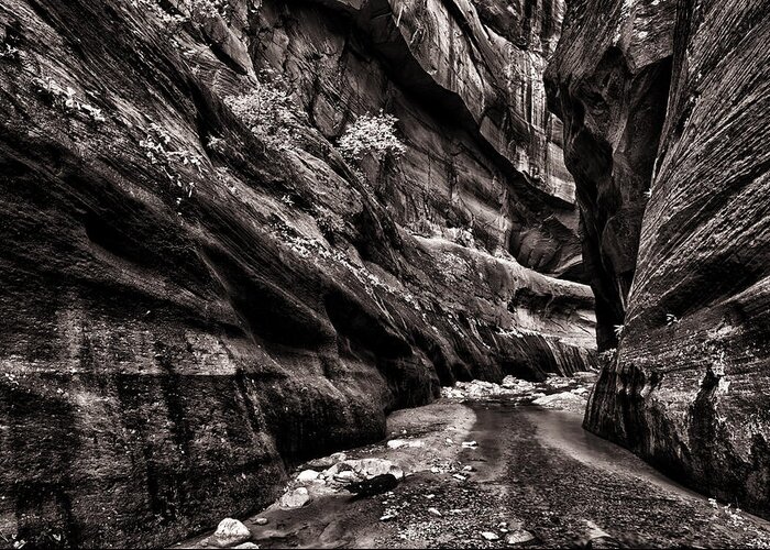 America Greeting Card featuring the photograph Endless Narrows by Juan Carlos Diaz Parra